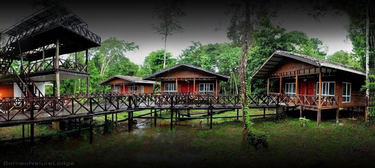Borneo Nature Lodge Sukau Экстерьер фото